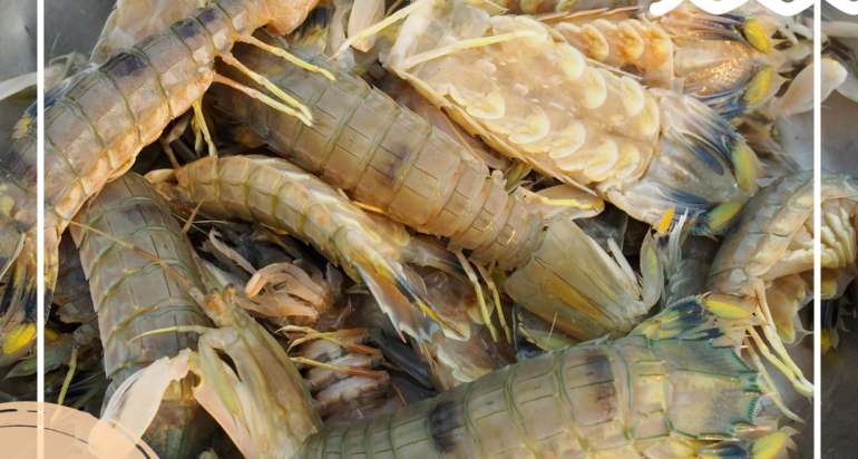 5 Useful Tips In Sourcing For The Best Whosale Seafood Supplier In Singapore