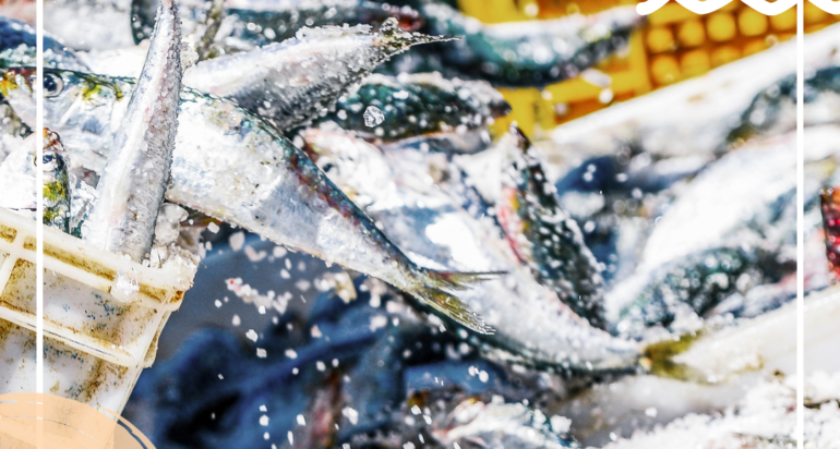 Fishermen’s Best Tips In Buying Live Seafood In Singapore – Check Out SG’s Best Live Seafood Supplier